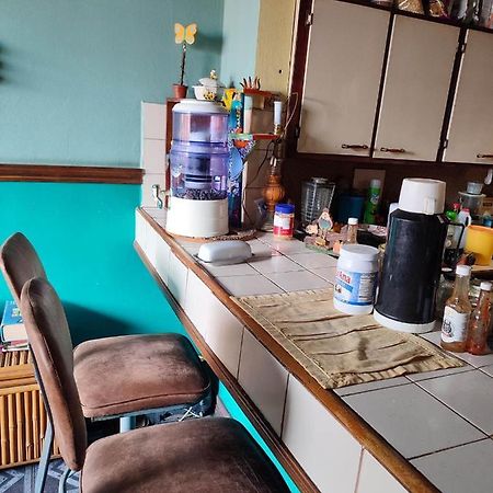 The Cozy Cactus House B&B Cartago Centro English Spoken Ngoại thất bức ảnh