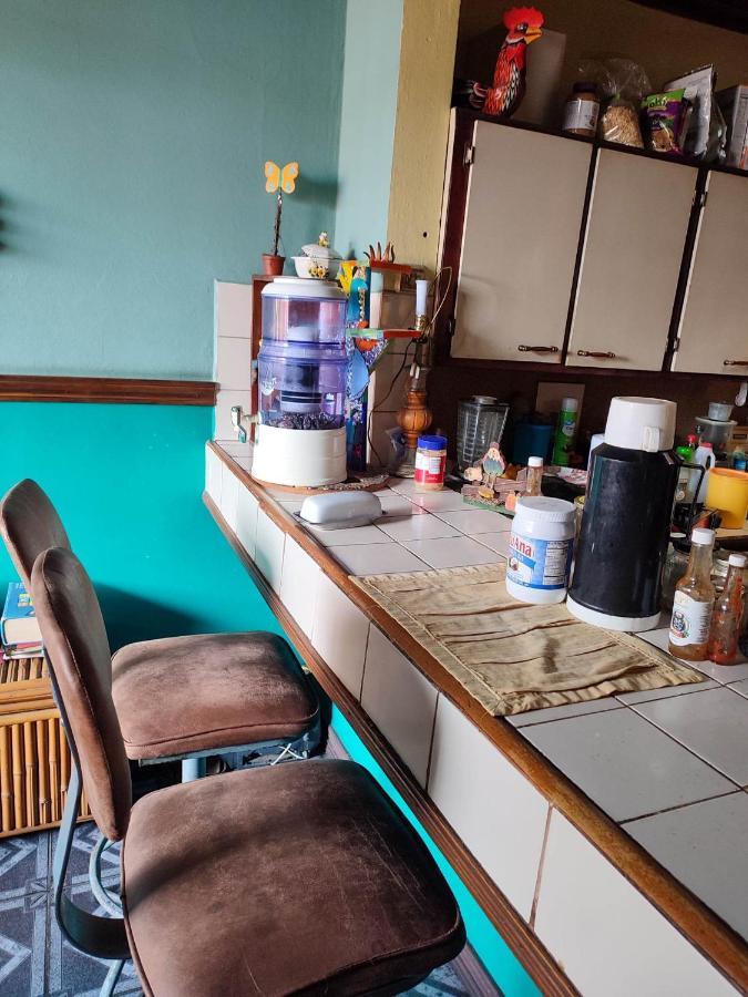 The Cozy Cactus House B&B Cartago Centro English Spoken Ngoại thất bức ảnh